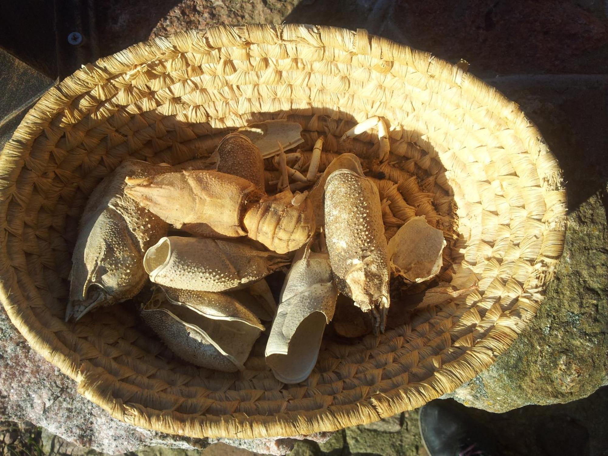 Hosteria Na Mazurach Домбрувно Экстерьер фото
